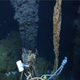 Image for article titled The First Pictures of Life in the Deepest Ocean Vents Ever Discovered